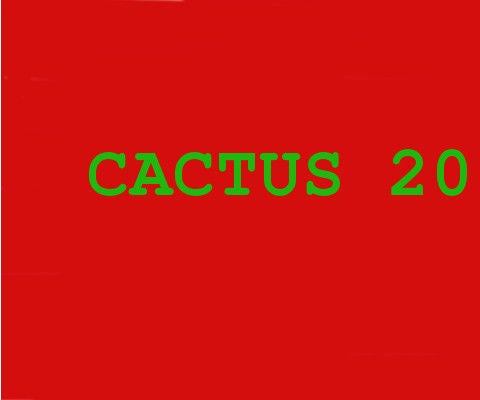 Cactus 2000