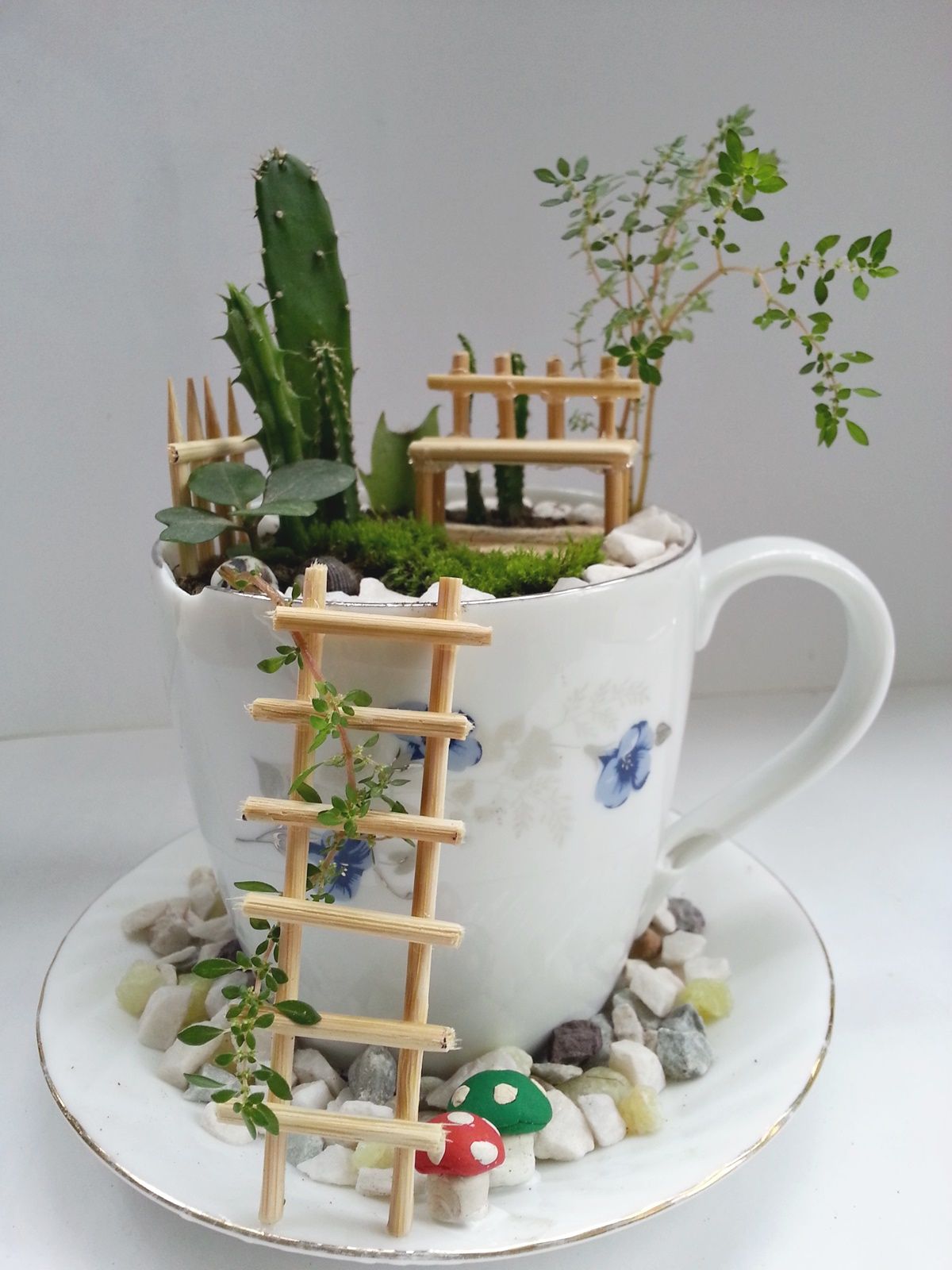 DIY Cup Garden : 9 Steps (with Pictures) - Instructables