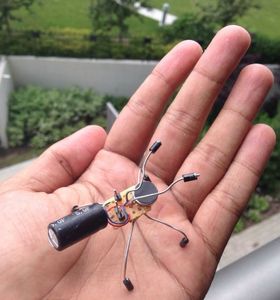 Insect Bot : 8 Steps (with Pictures) - Instructables
