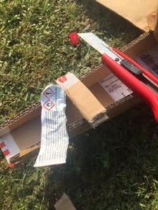 Step 3: Fin and Wings