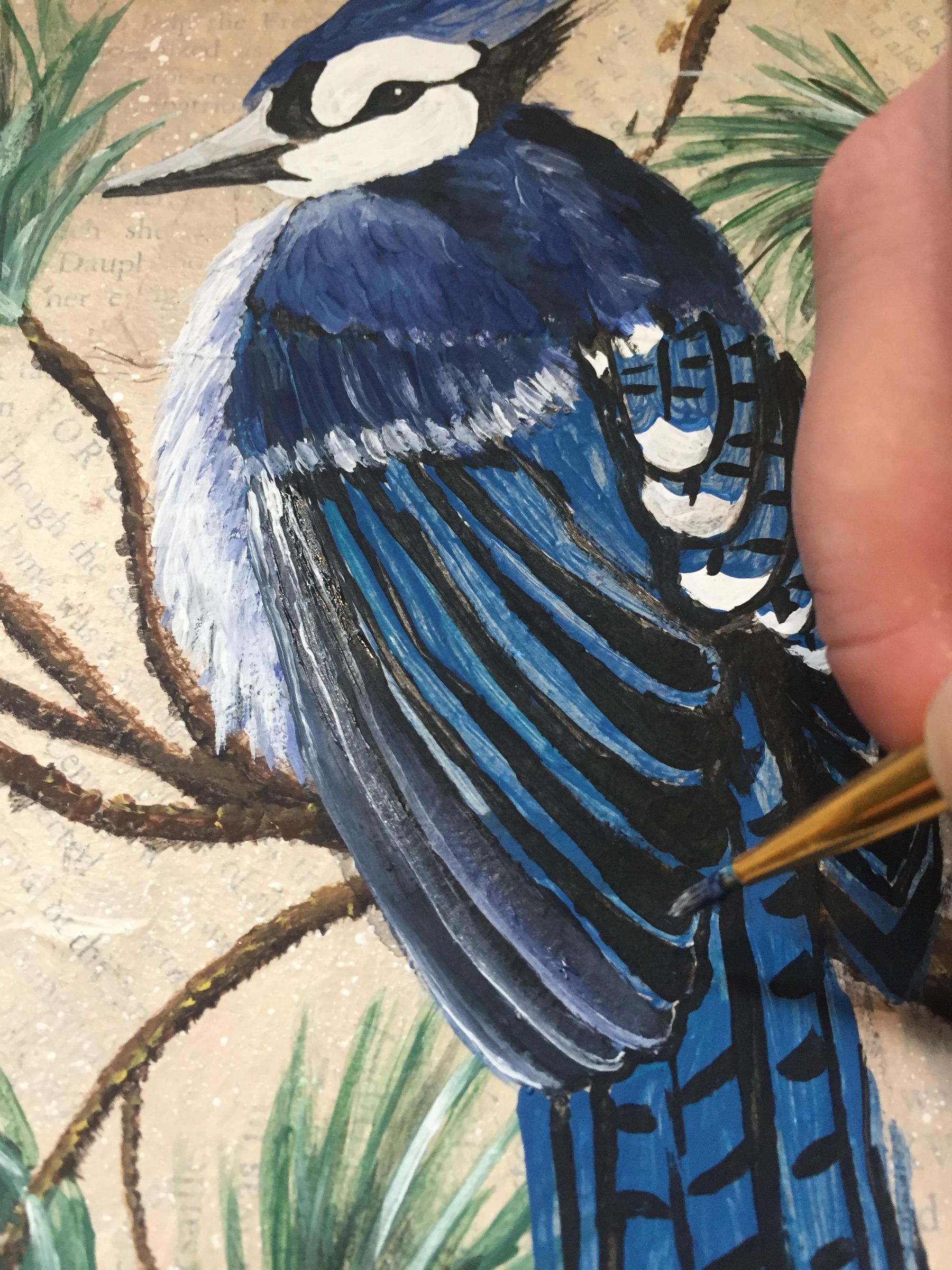 How to Paint a Blue Jay on a Branch. 13 Steps (with Pictures