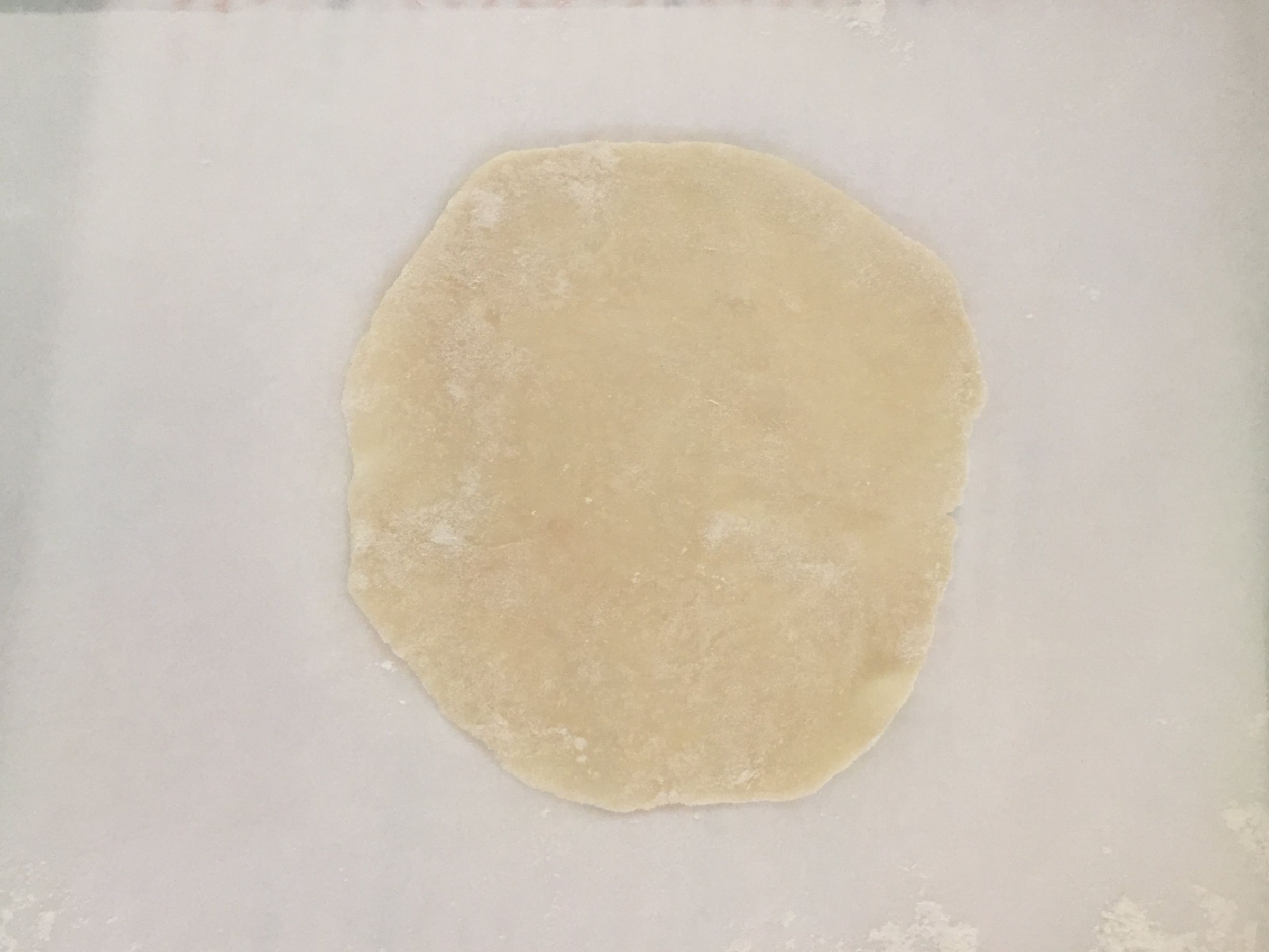 Crispy Pork Dumplings (From Scratch!) 14 Steps (with Pictures