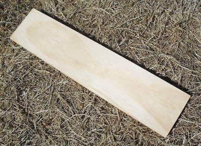 Paua Shells on a Piece of Wood