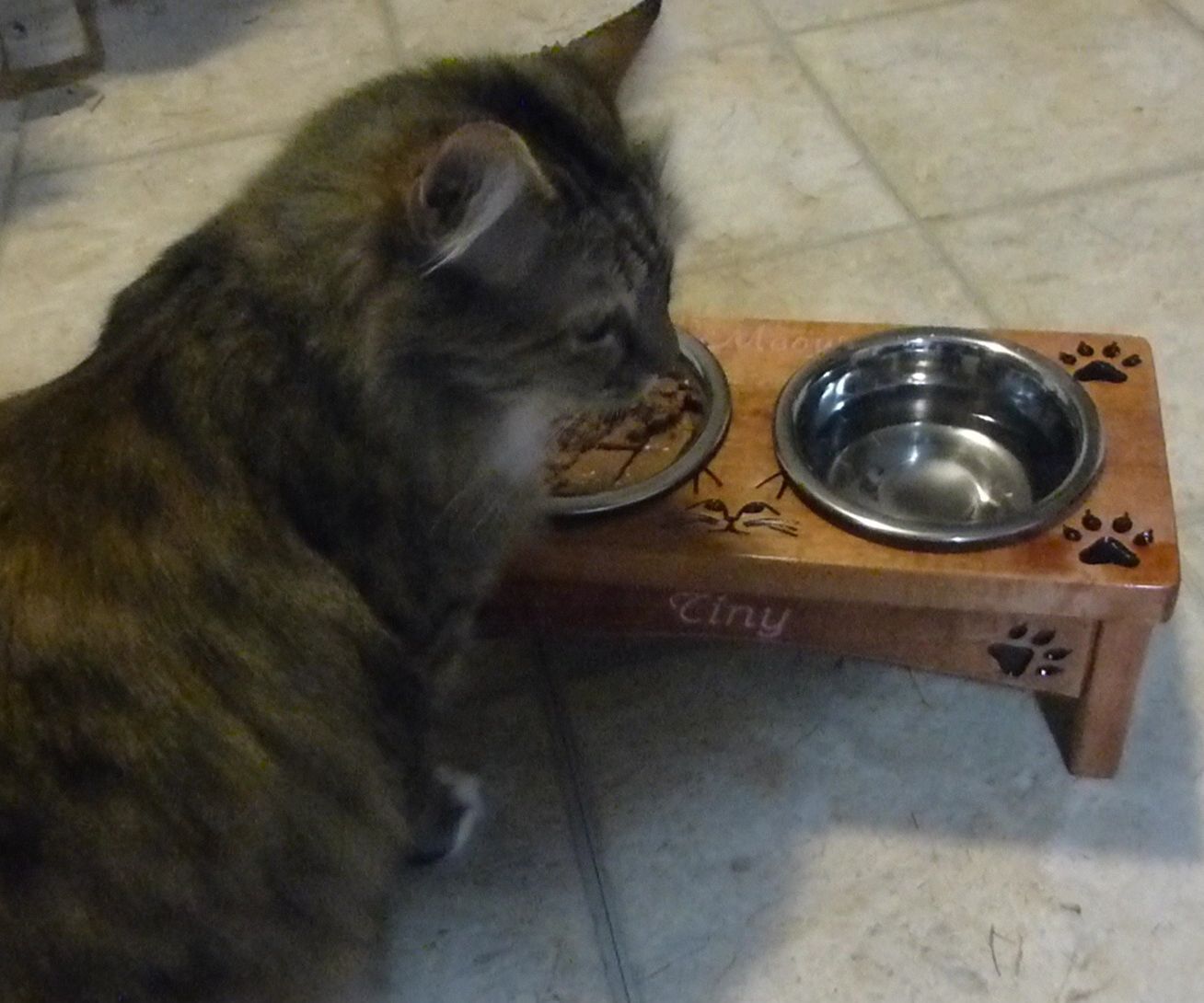 Personalized Wooden Cat Bowl Feeder