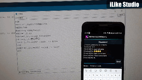 Now Using the Same Info From the Serial Monitor. We Can Send the Message Using This Syntax: