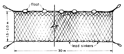 Gill Net : 6 Steps (with Pictures) - Instructables