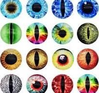The Eyes Have It!