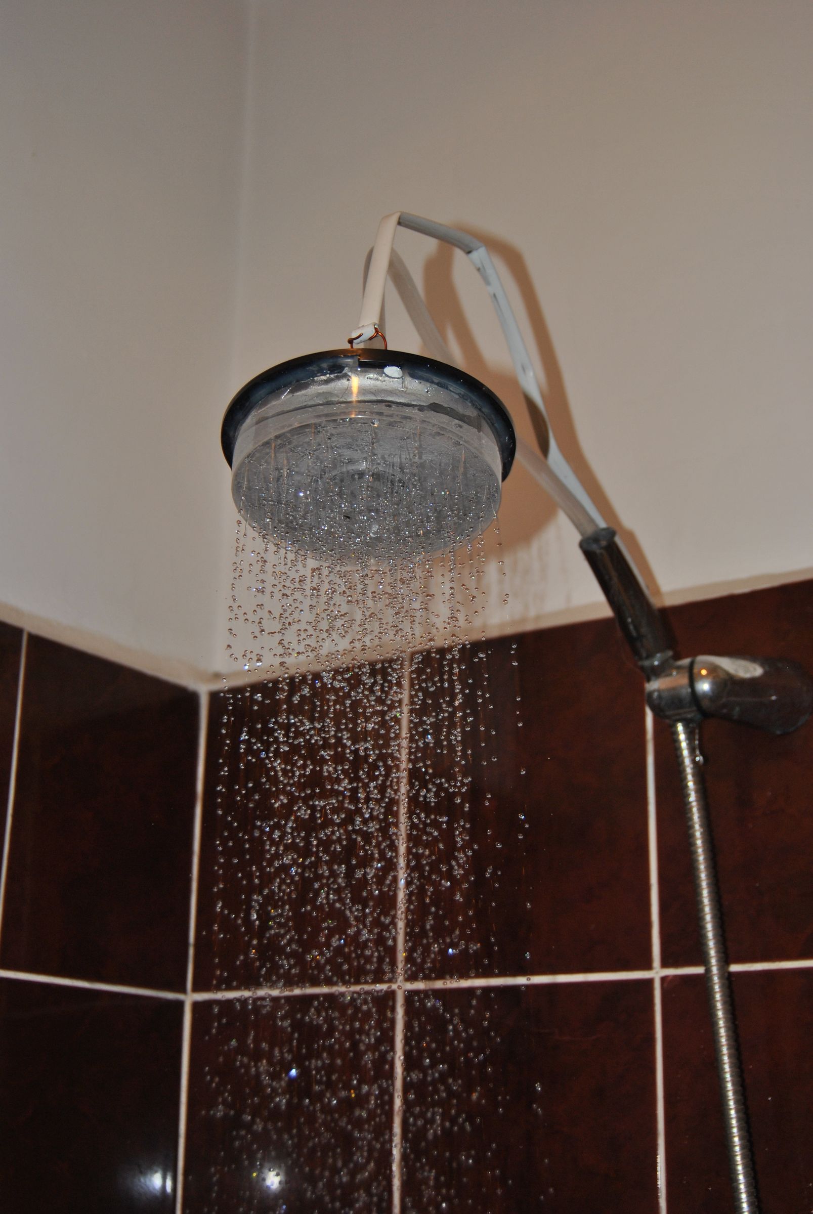 Rainforest Shower Head