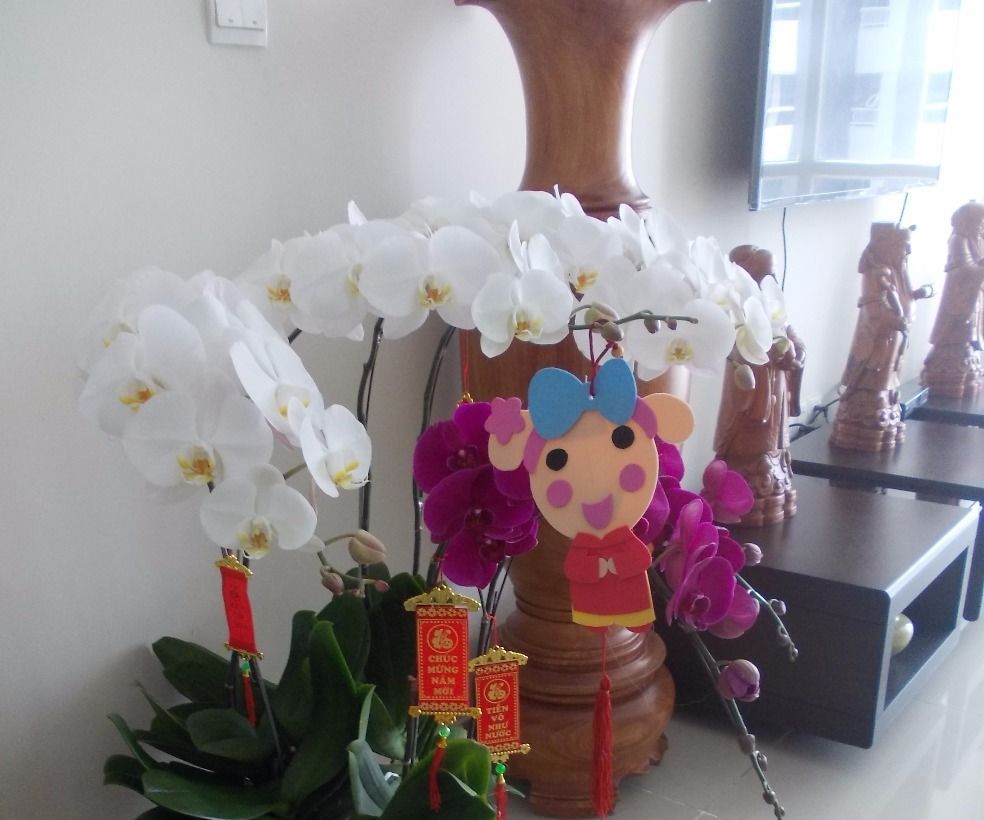 Miss La Sen Hanging Lucky Decoration on Lunar New Year 