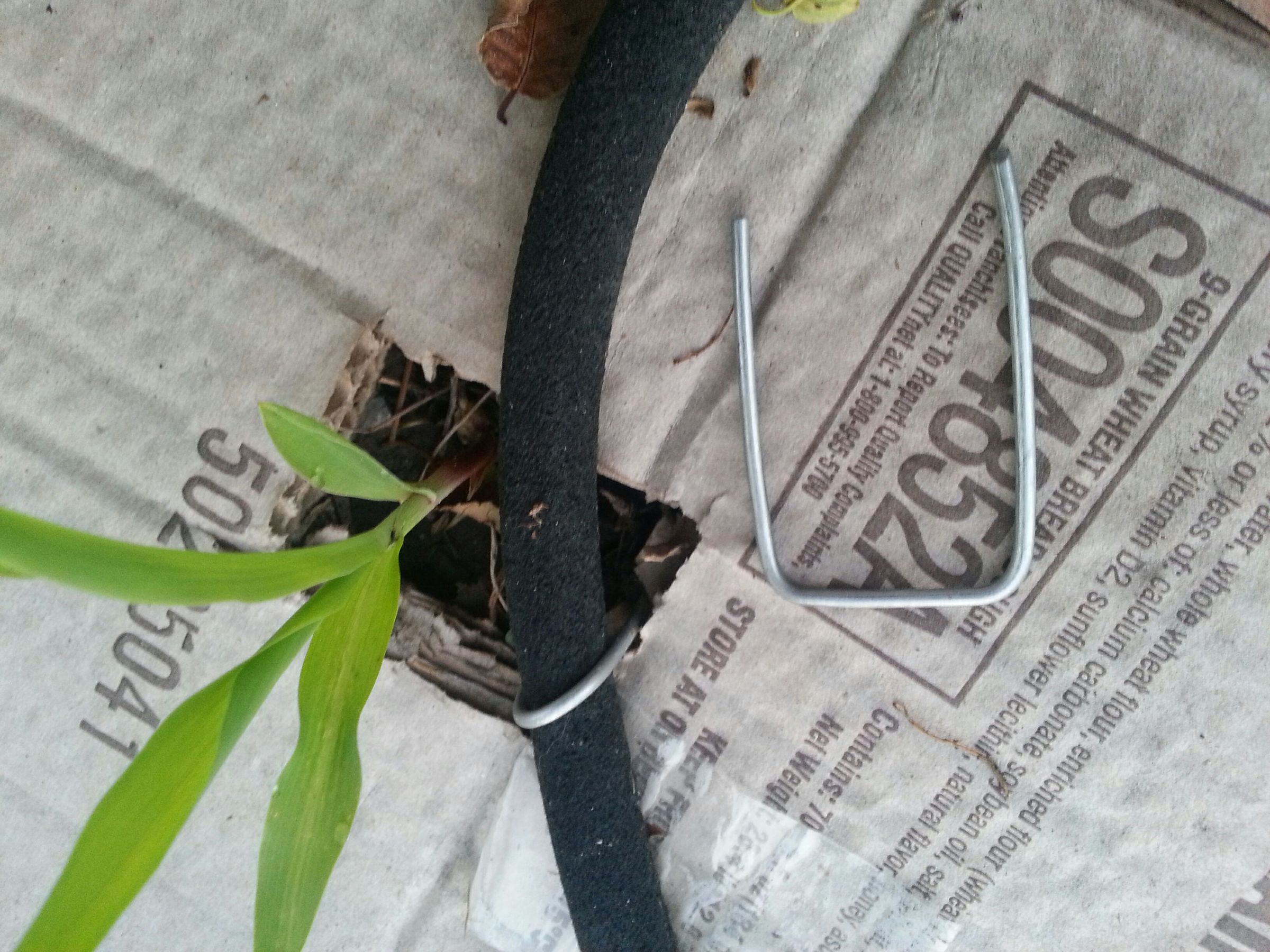 Cheap Easy Garden & Landscape Staples