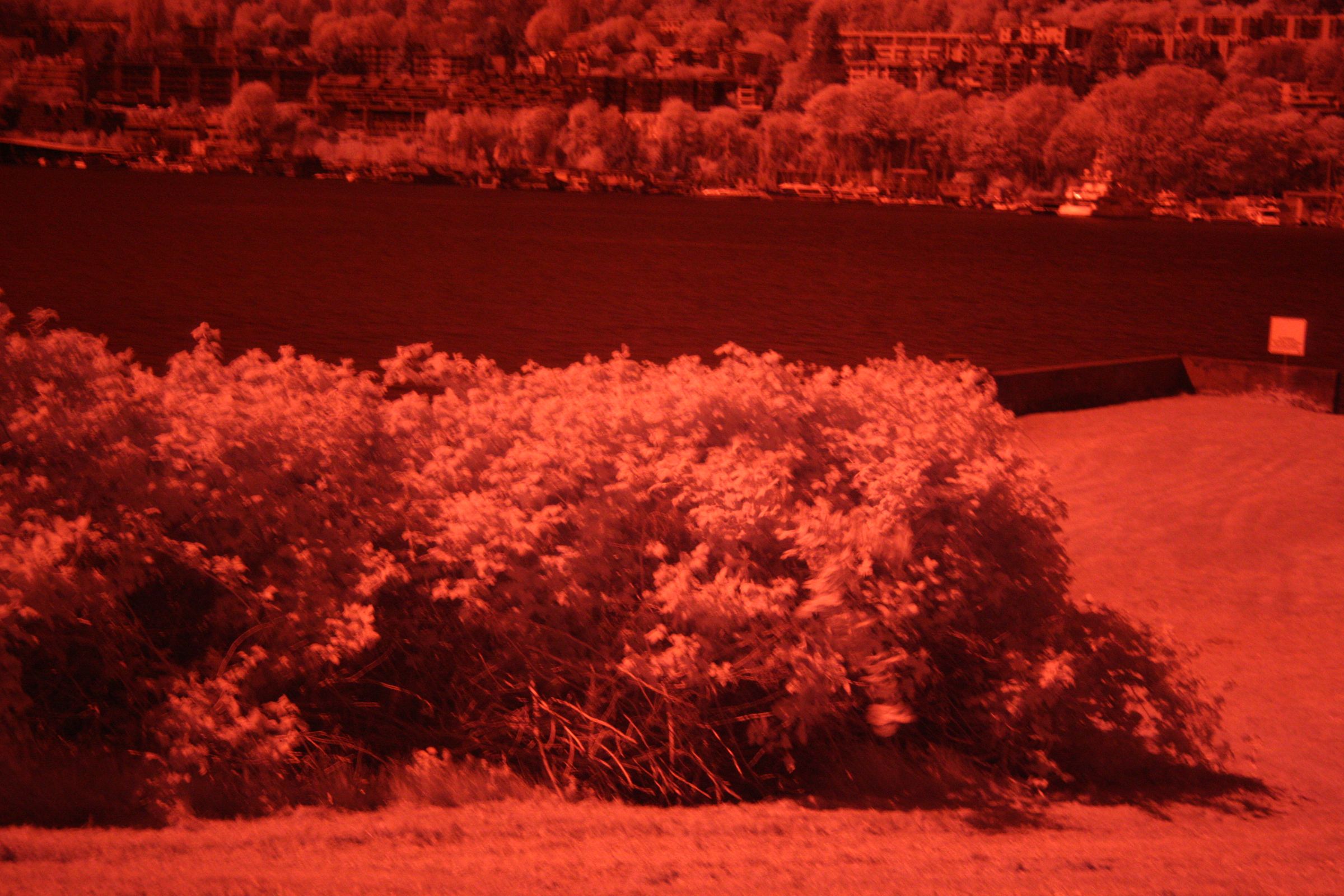 (near) Infrared Photography
