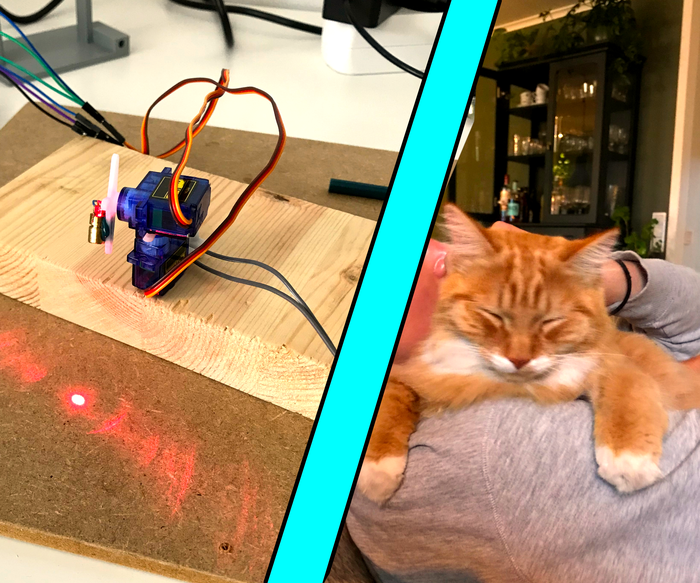 Randomly Controlled Laser Pointer Cat Toy