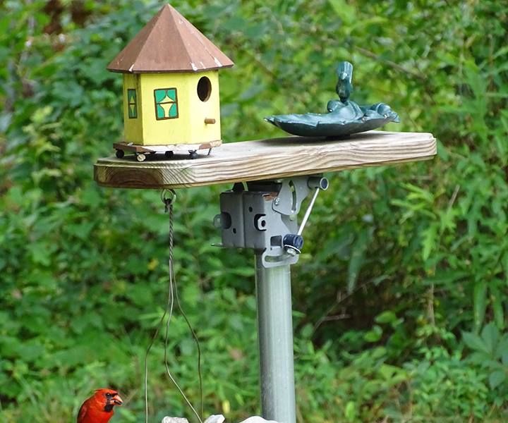 Re-purpose That Dish!