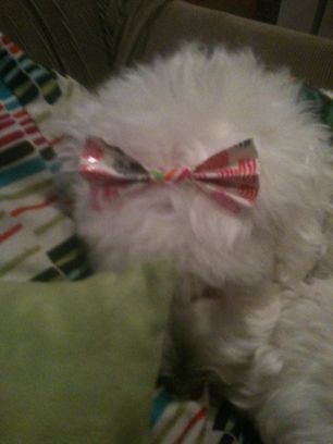 Duck Tape Bows