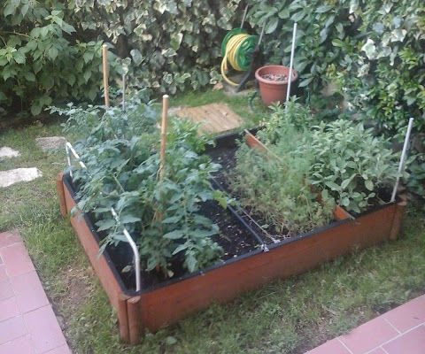 Ten Ways to Protect Your Organic Garden From Pests