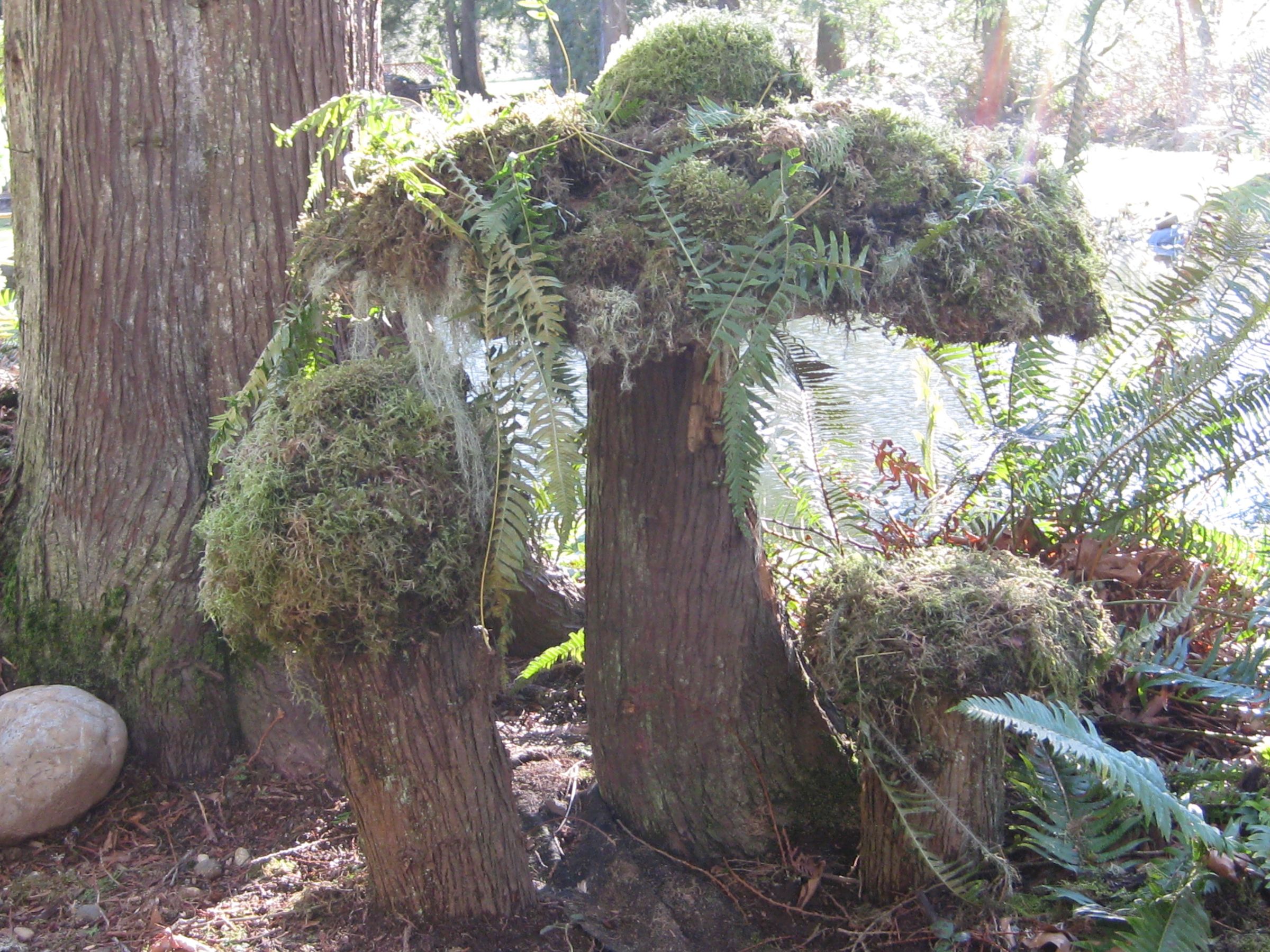 Make a Moss Mushroom: Yard Art