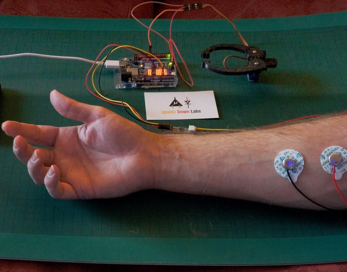 EMG With Arduino UNO R4 WiFi and DIY Neuroscience Kit From Upside Down ...