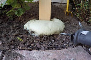 Gönderilerinizi Ayarlayın