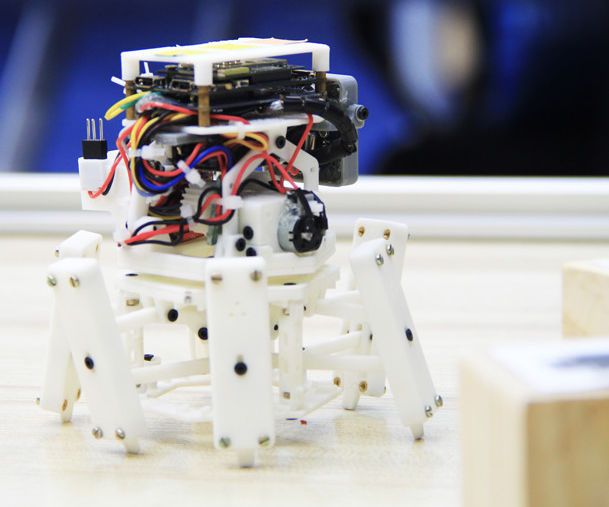 Xpider Fatty -- the Smallest Smart Robot Spider in the World
