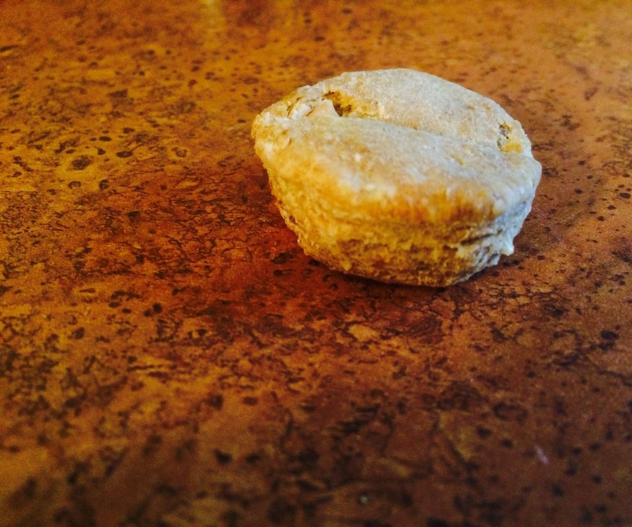 Baked Dog Treats
