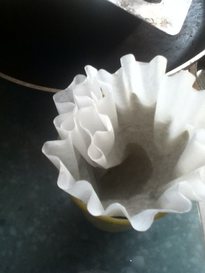 Make a Water Filter