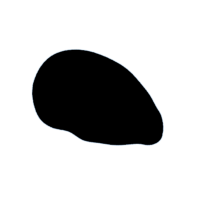 download {{ file.name }}