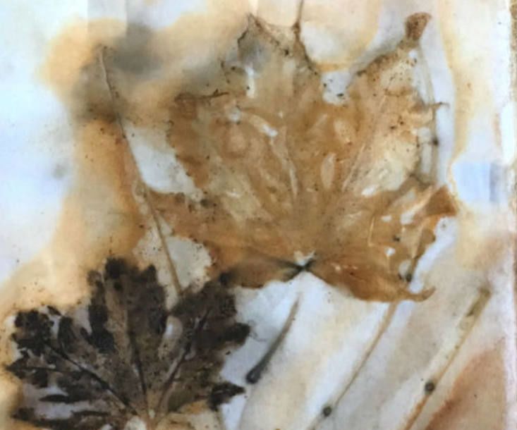 How to EcoPrint on Paper