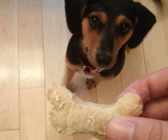 Homemade Applesauce Dog Biscuits
