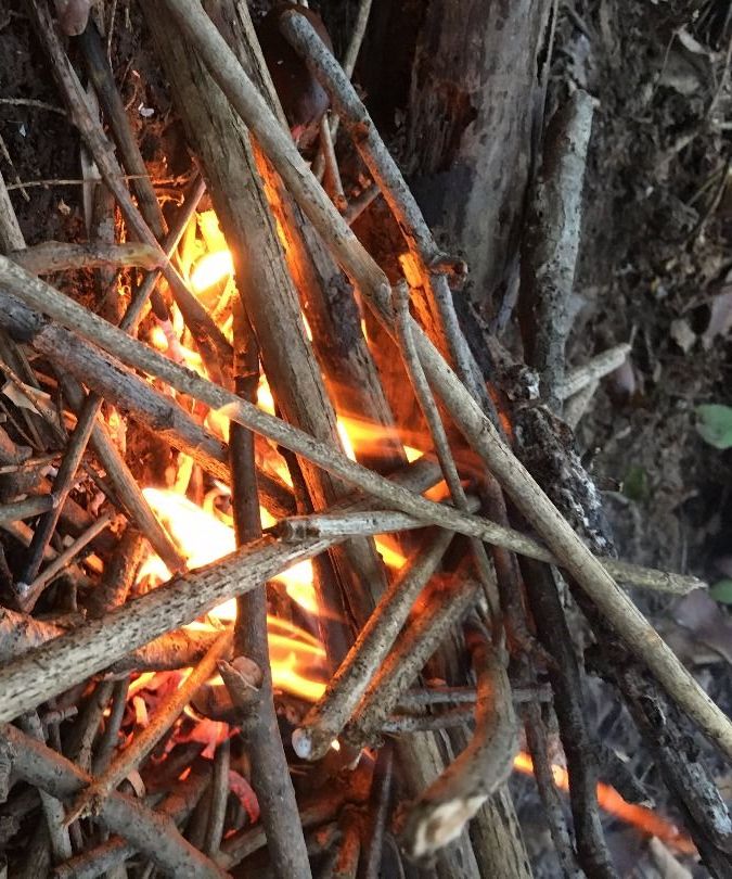 Building Campfires the Right Way (without Fire Starters or Dangerous Accelerants)