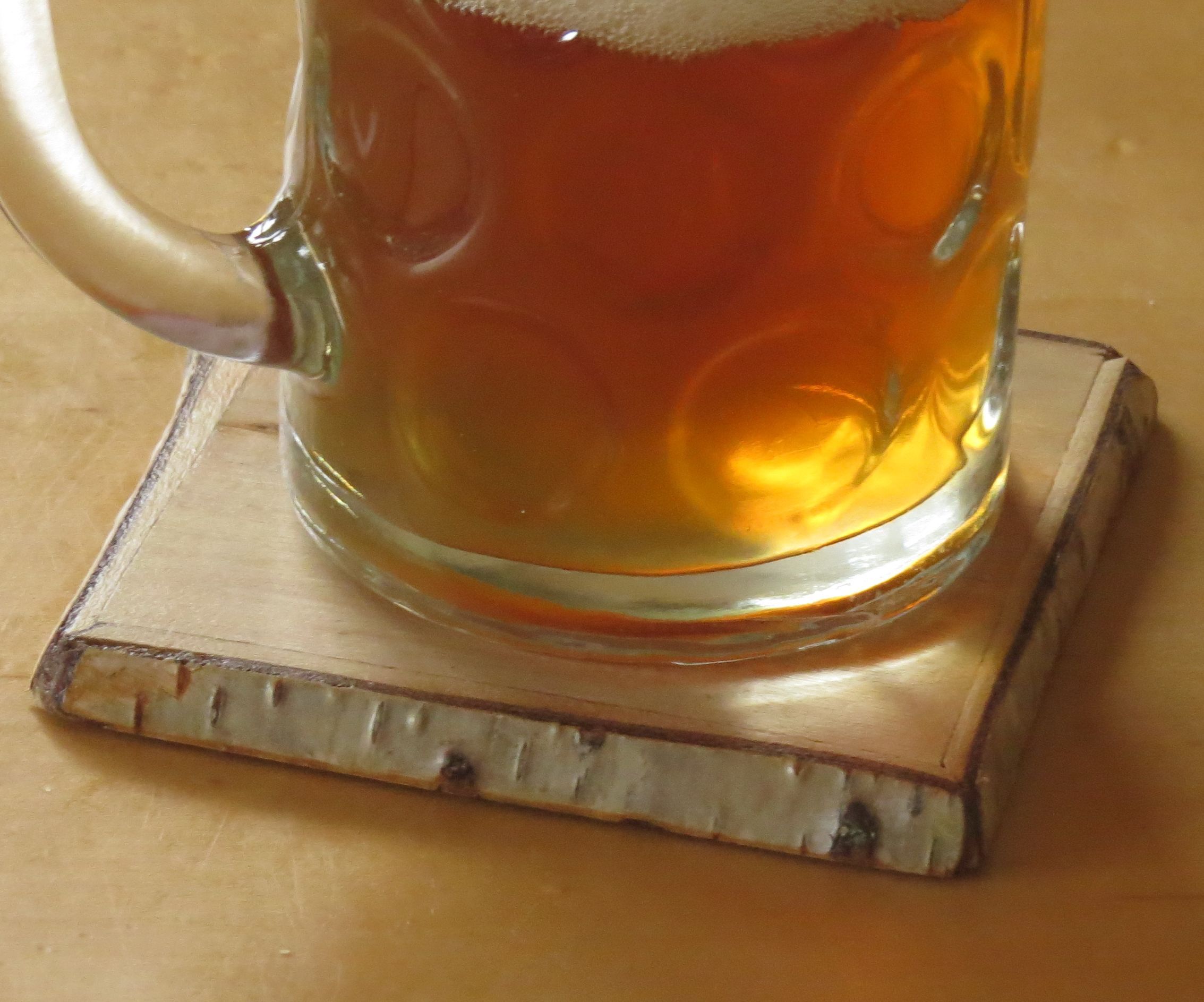 Birch Coaster From Whole Branch!