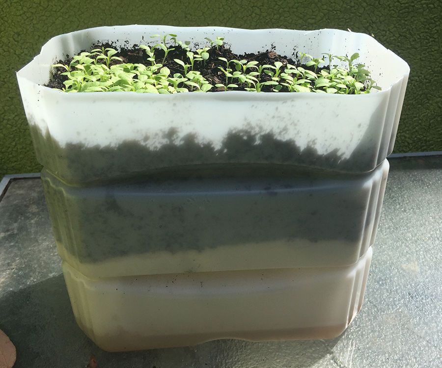 Up-cycling Self Watering Planter