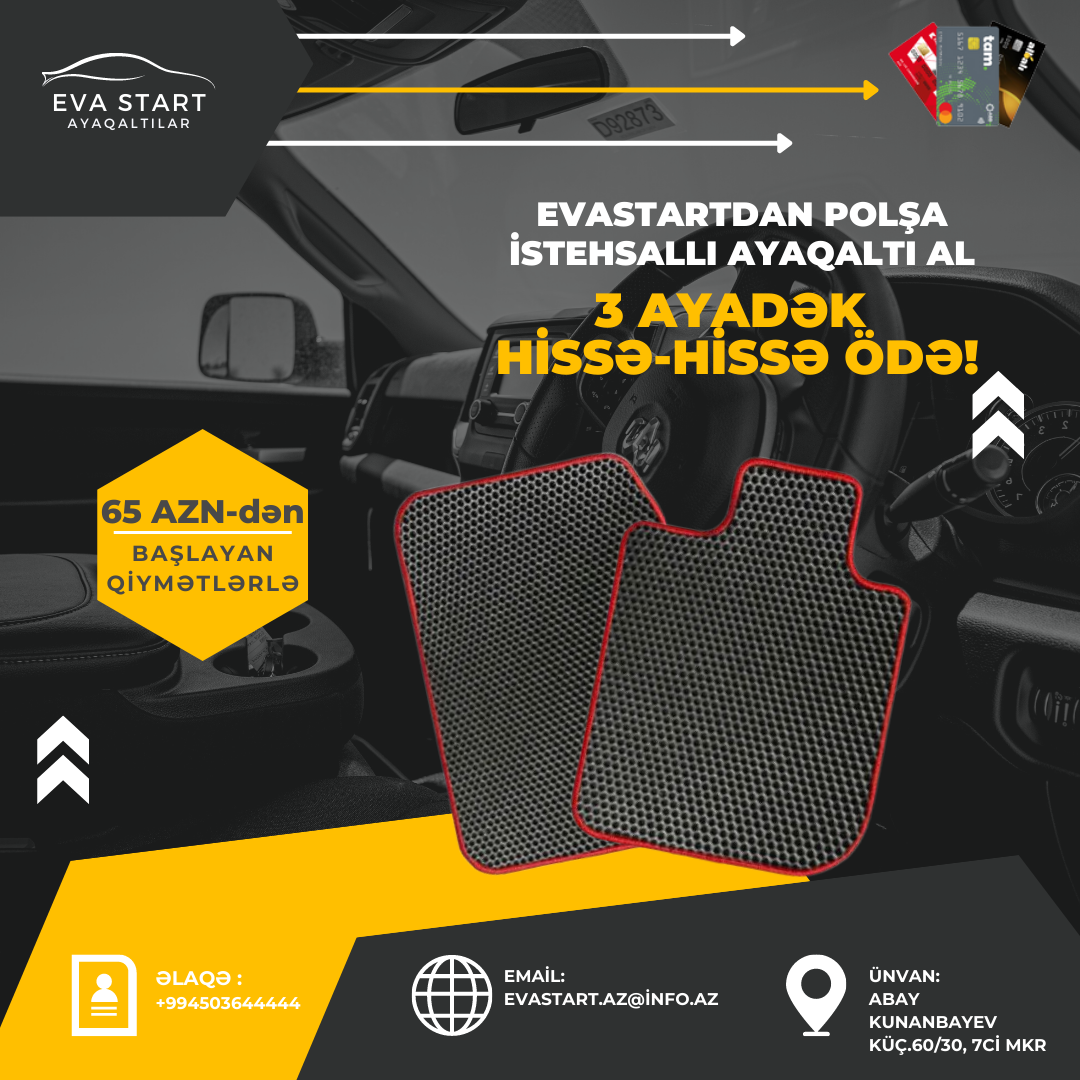 Social Media Posts for a Car Mat Companies