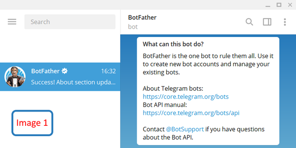 Creating the Telegram Bot