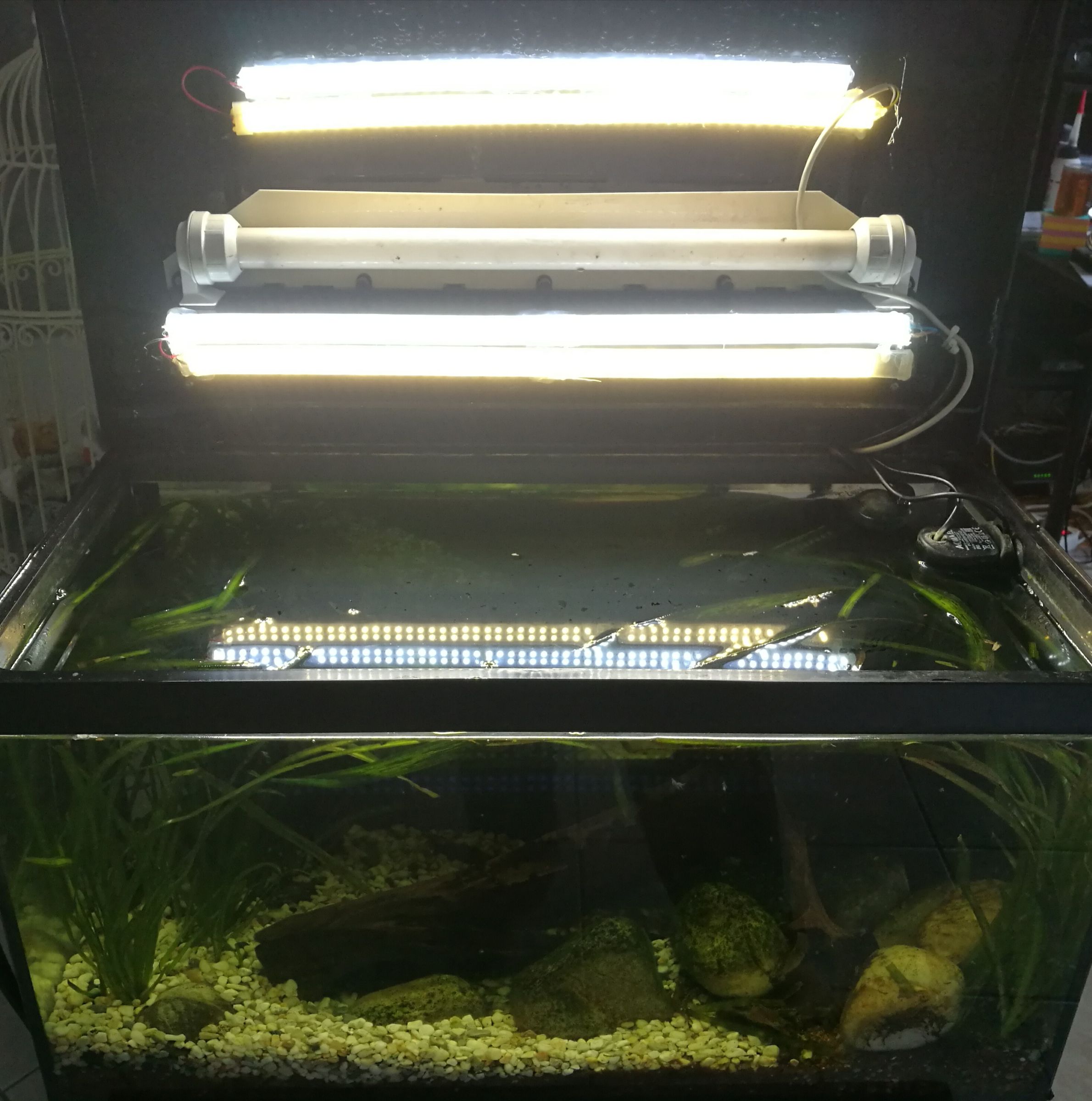 Image showcasing Aquarium Controller : 10 Steps (with Pictures) - Instructables
