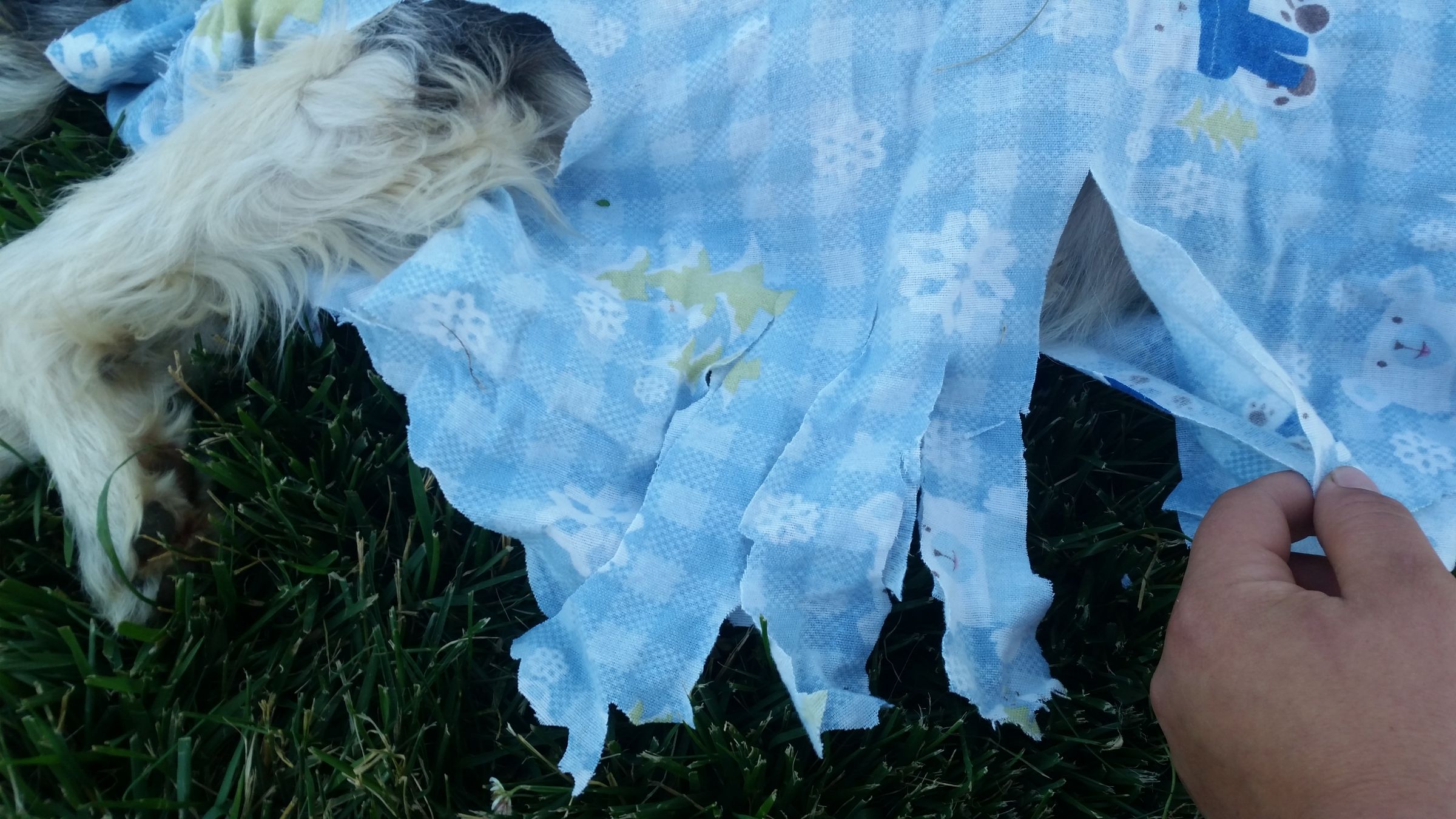 Dog Sweater Made Easily Out of Recycled Flannel Bedsheet. : 6 Steps ...