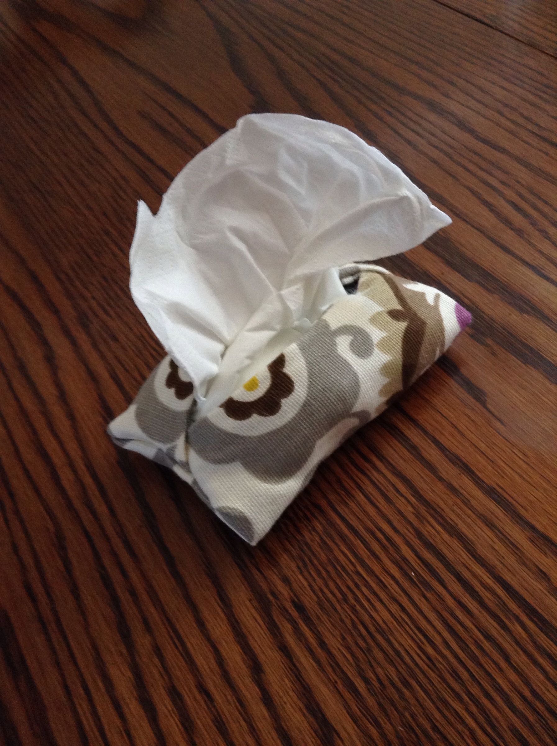Diy Tissue Holder (or Phone Case)