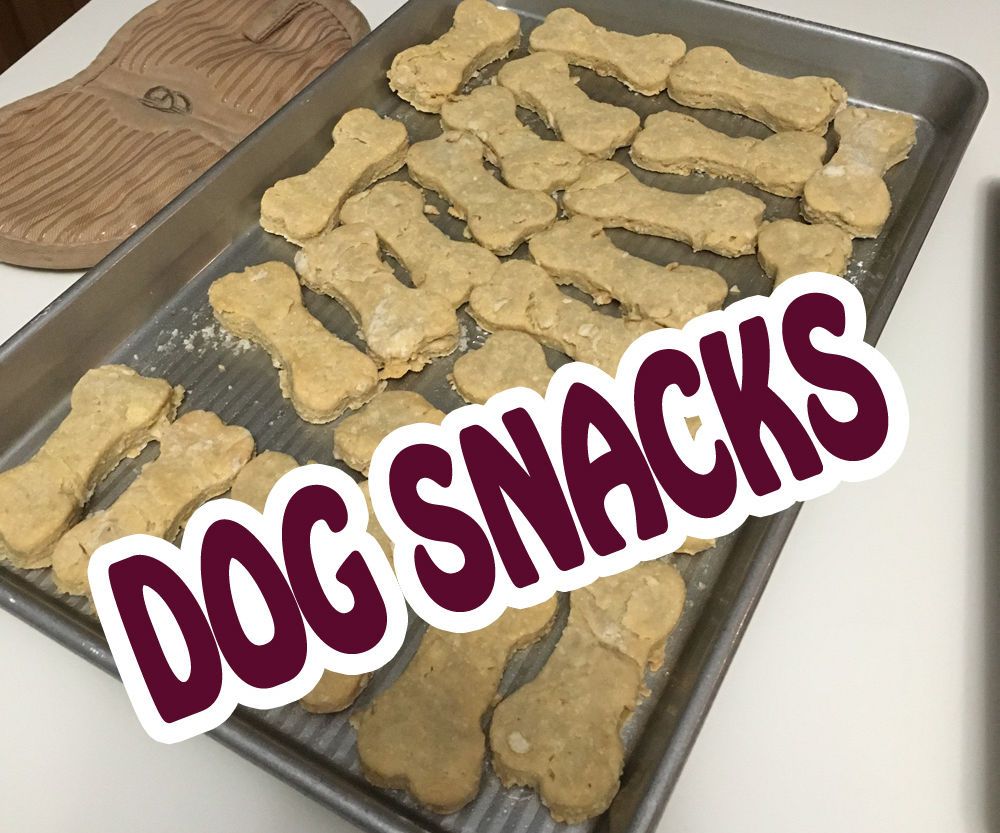 Snacks for Dogs- Fast and Easy