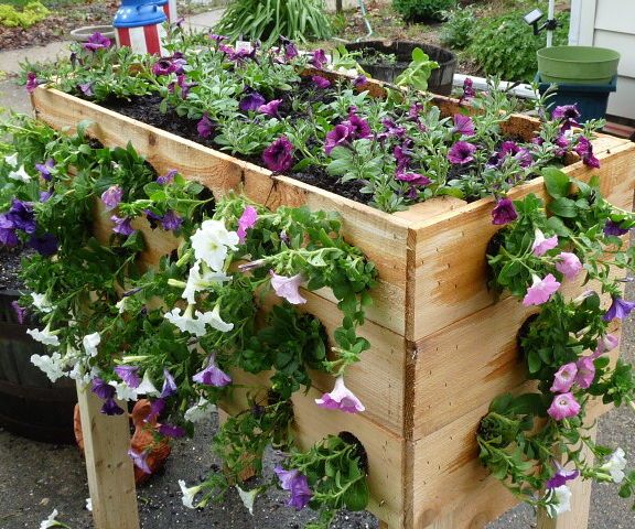 Making an Inexpensive Planter Box