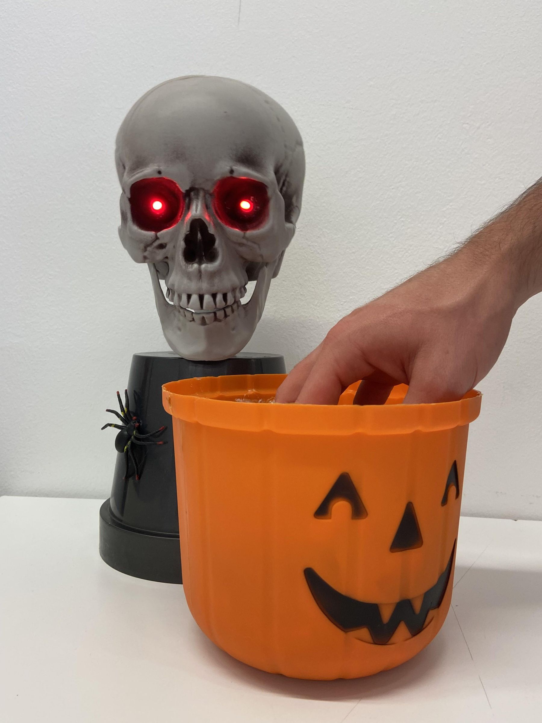 Mr.Skelleton