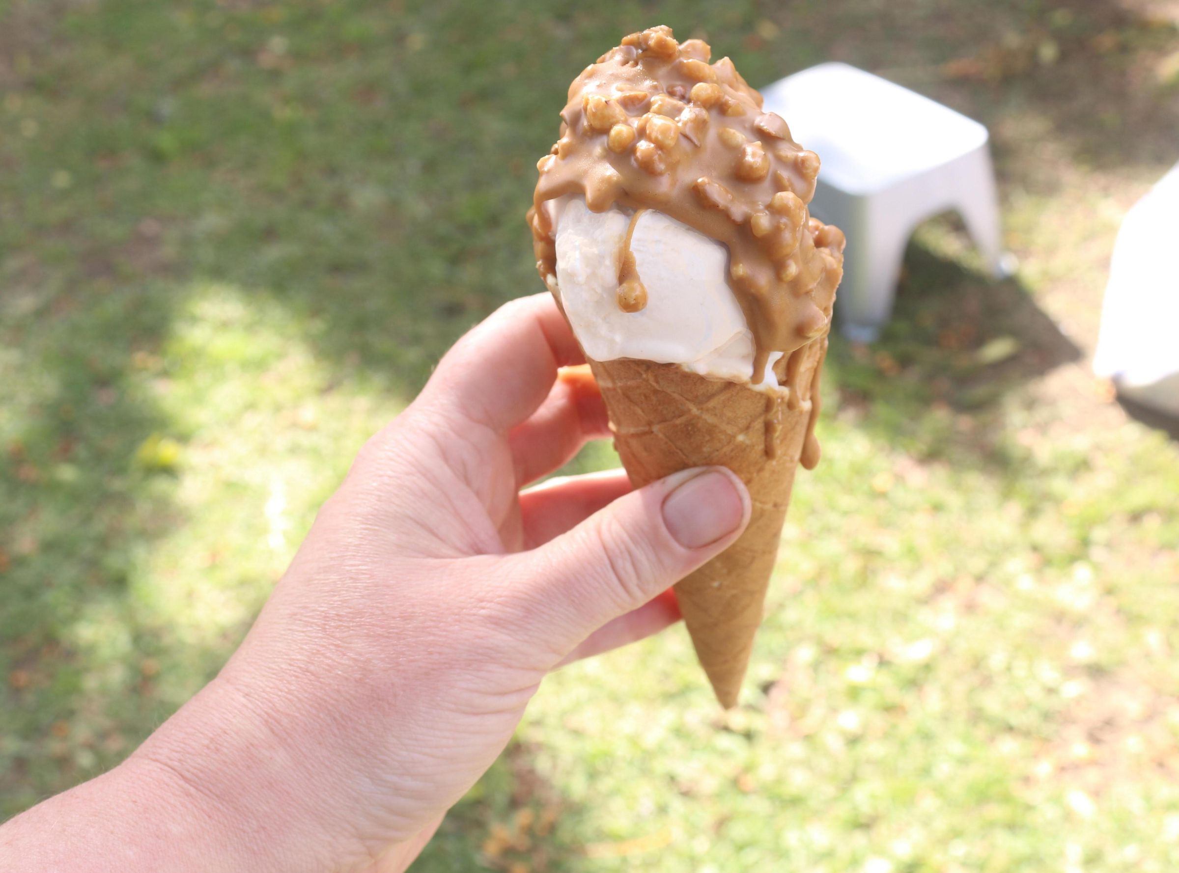 Quick Vegan Nut Butter Ice Cream