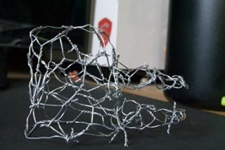 Construction of the Birds Body