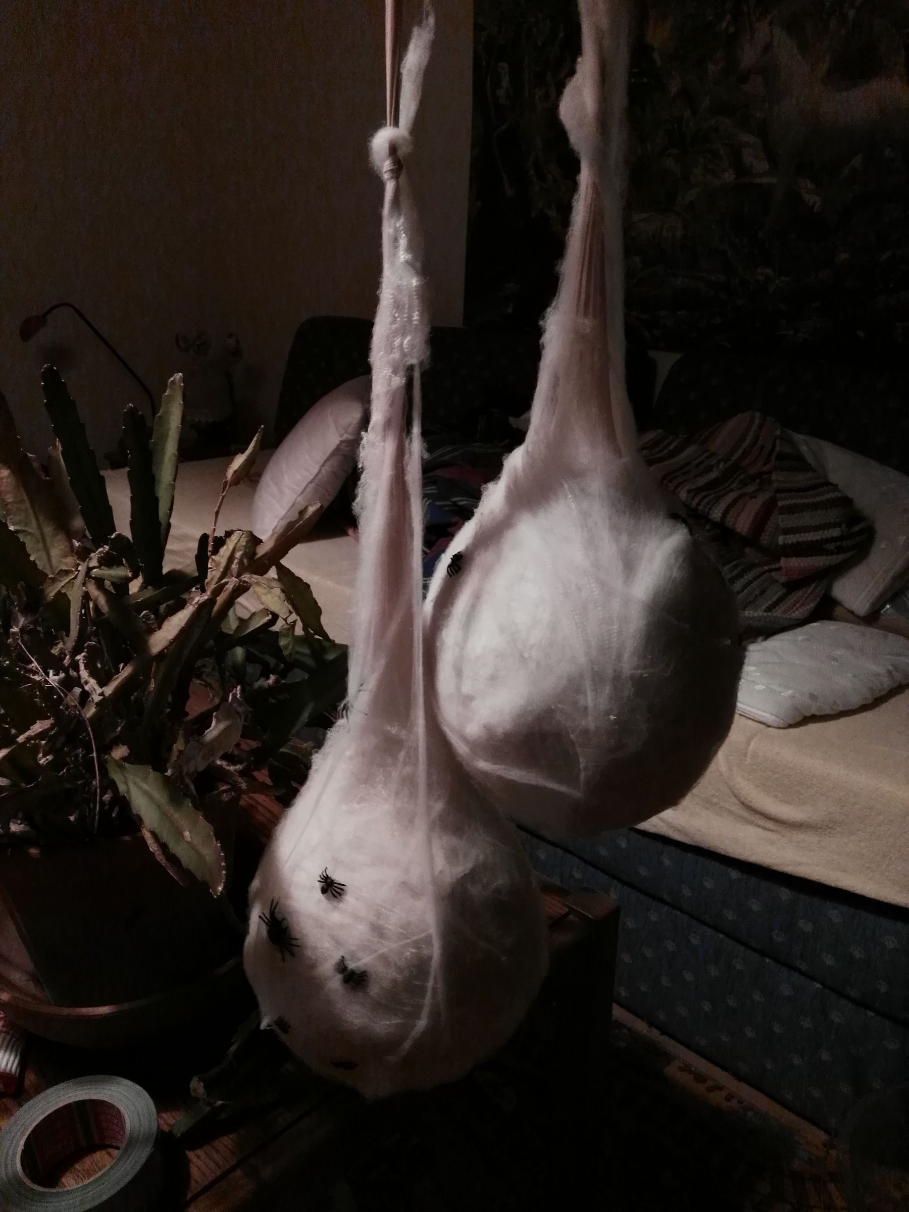 The Great Spiders Nest