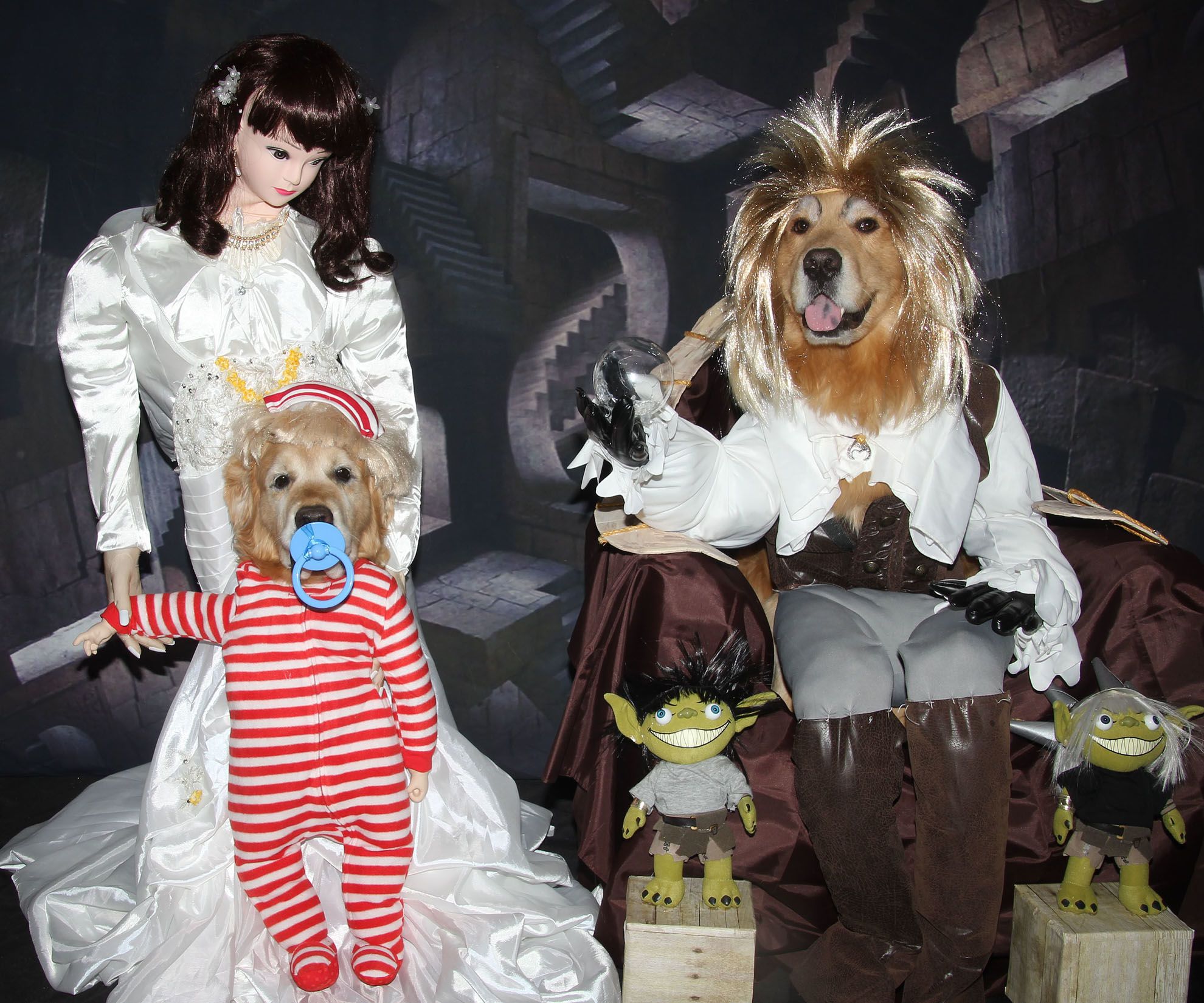 Phoenix and Gryphon Star in "Labyrinth"