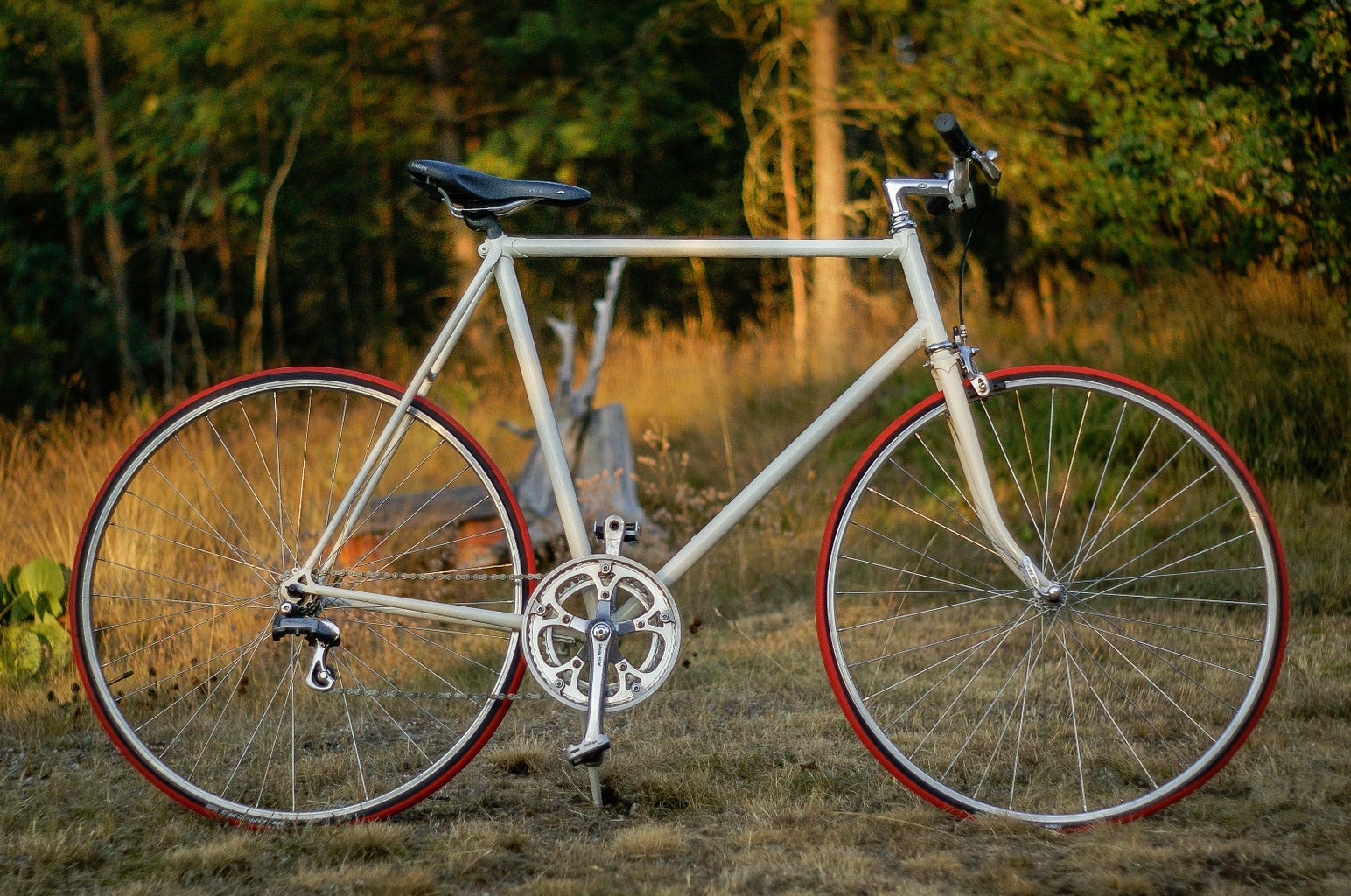 Converting road bike to single speed Clearance