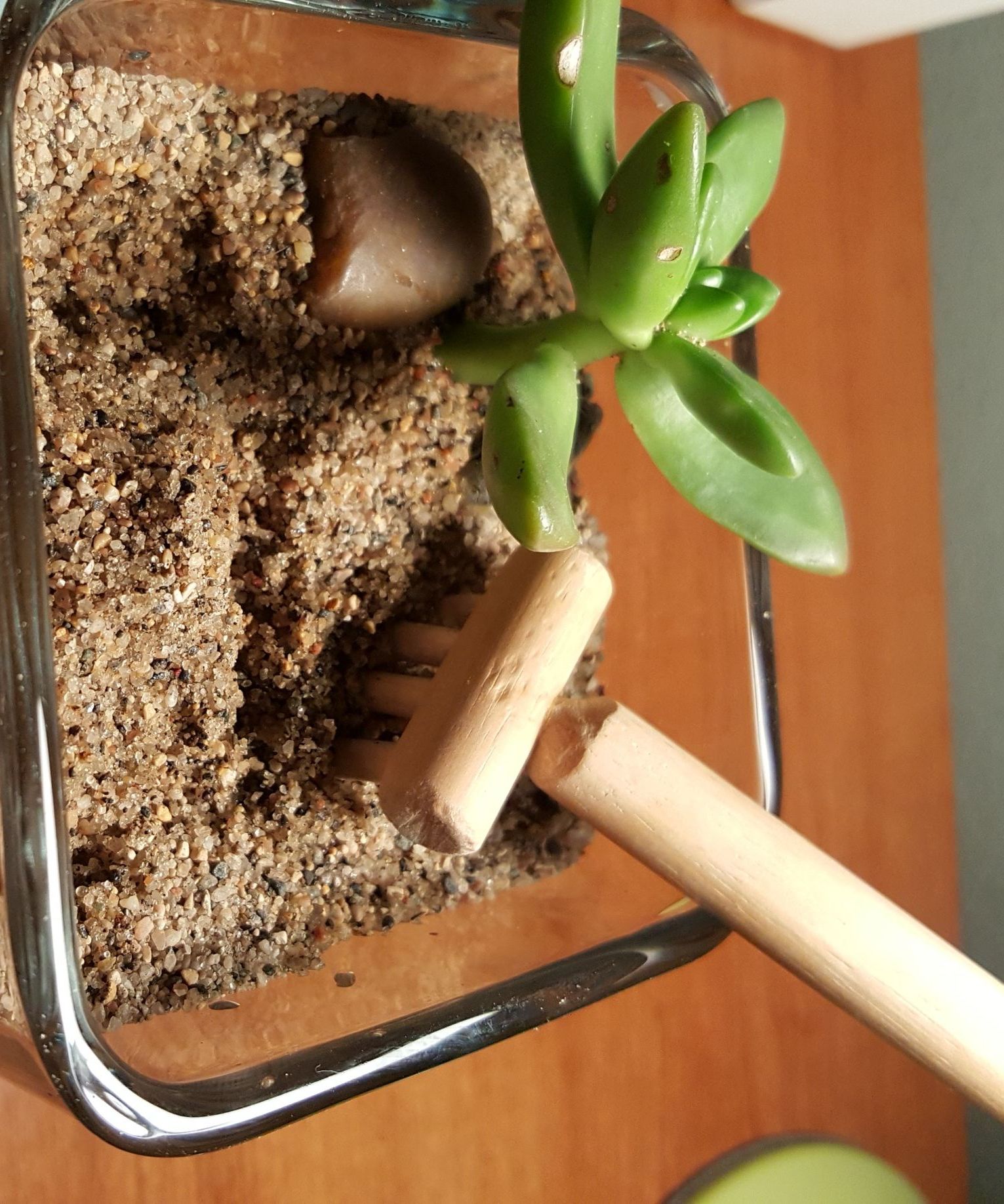 Desktop Zen Garden