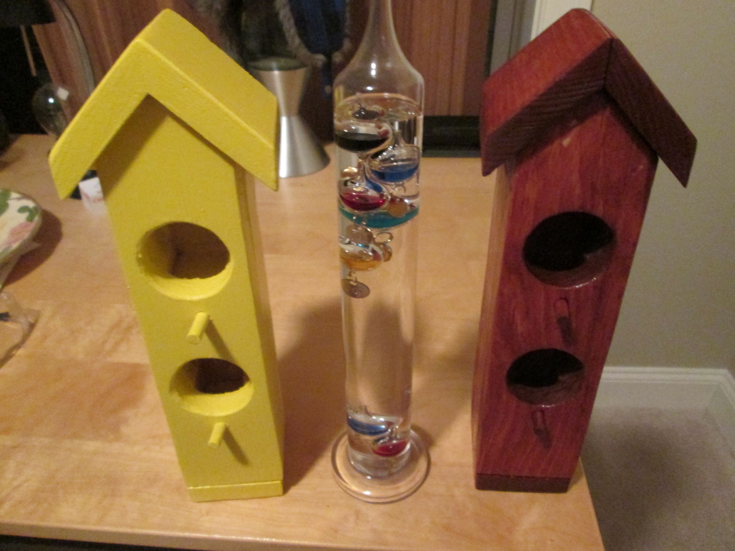 Birdhouse-Bird Duplex Tall and Thin