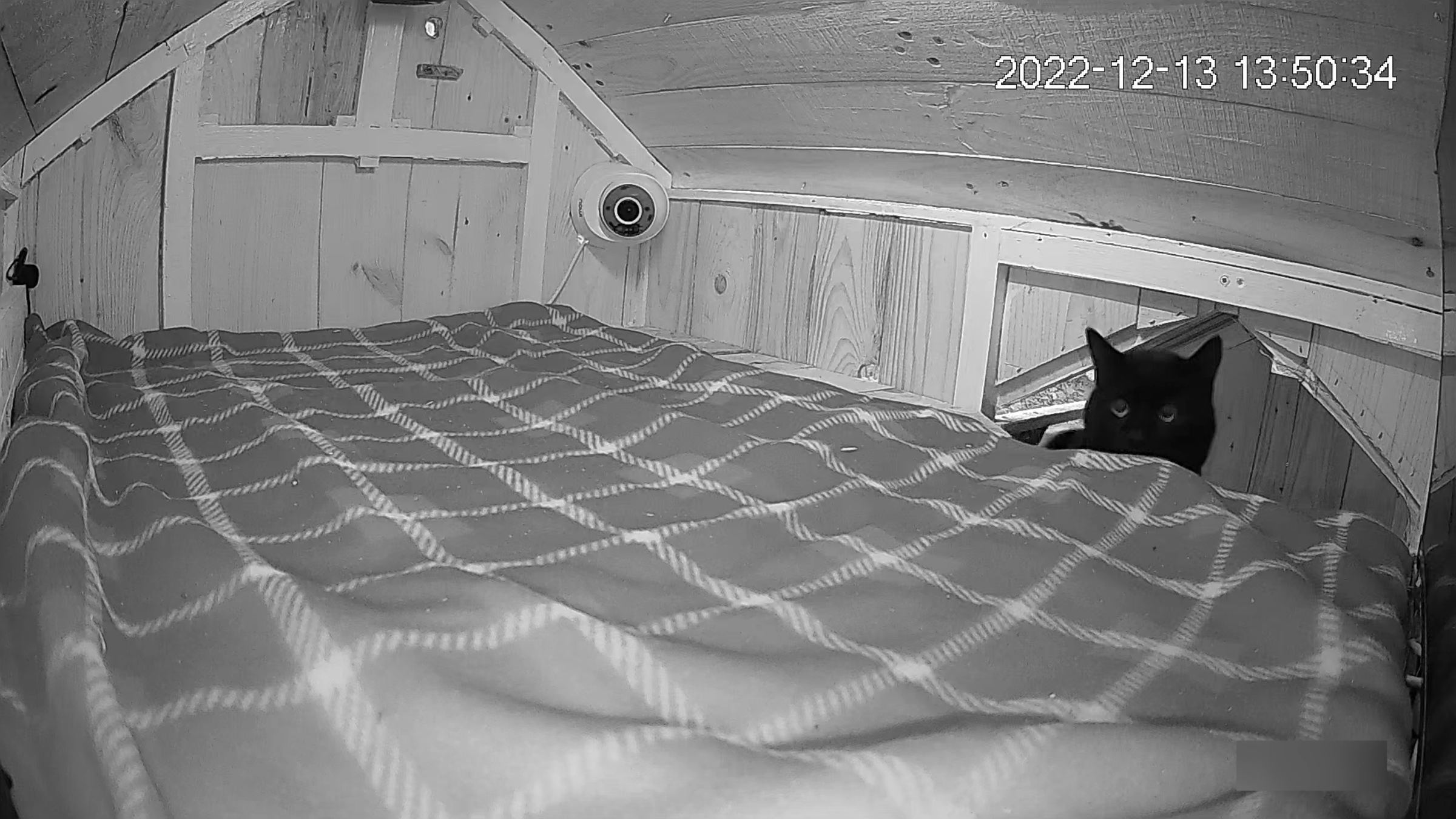 The Most Luxurious Stray Cat Shelter 4 Steps (with Pictures