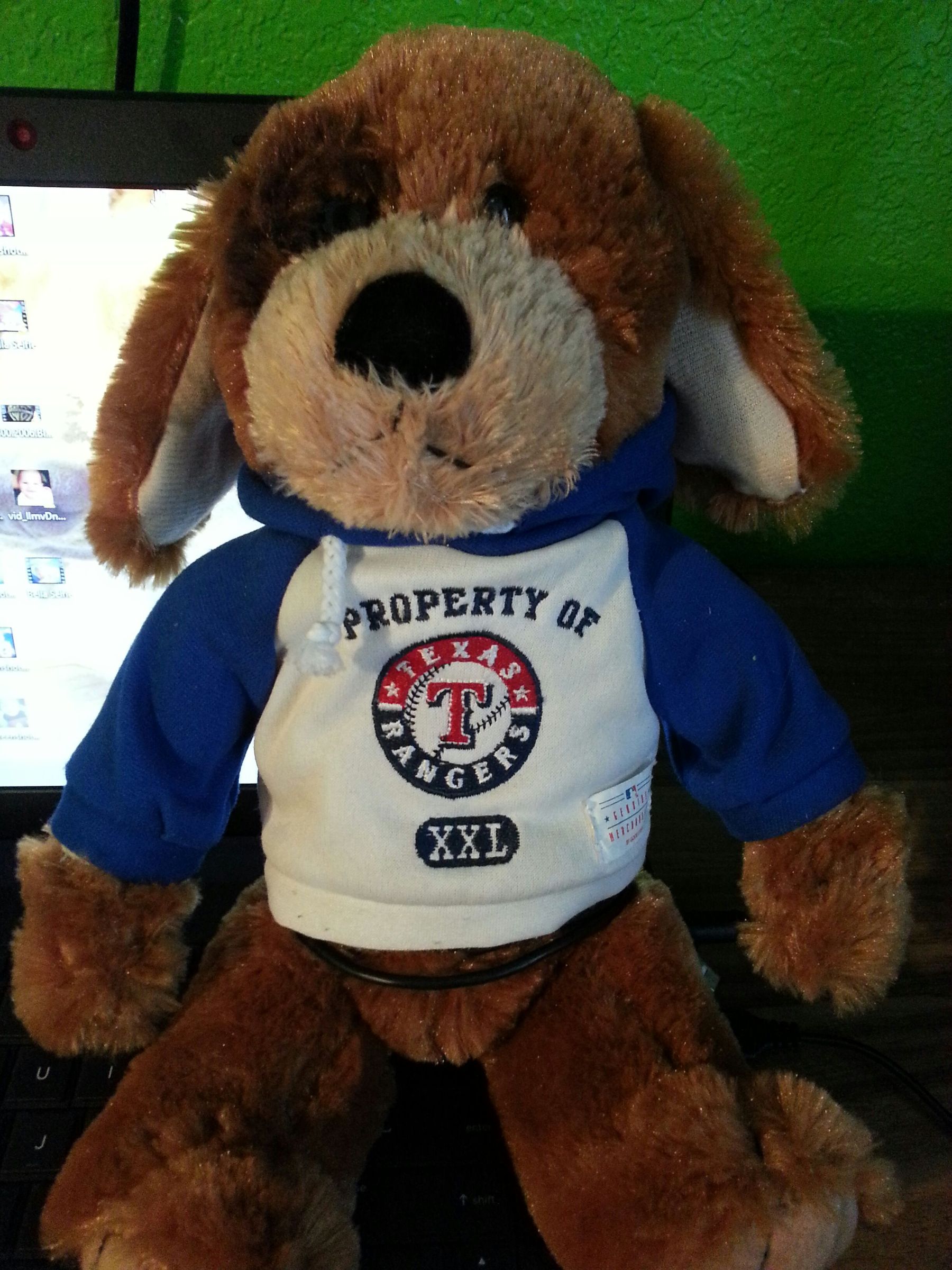 Spy Bear