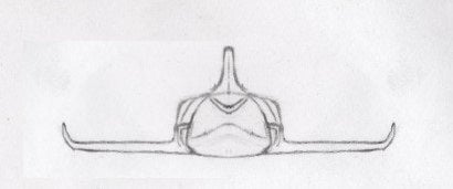 Sketch the Ship.