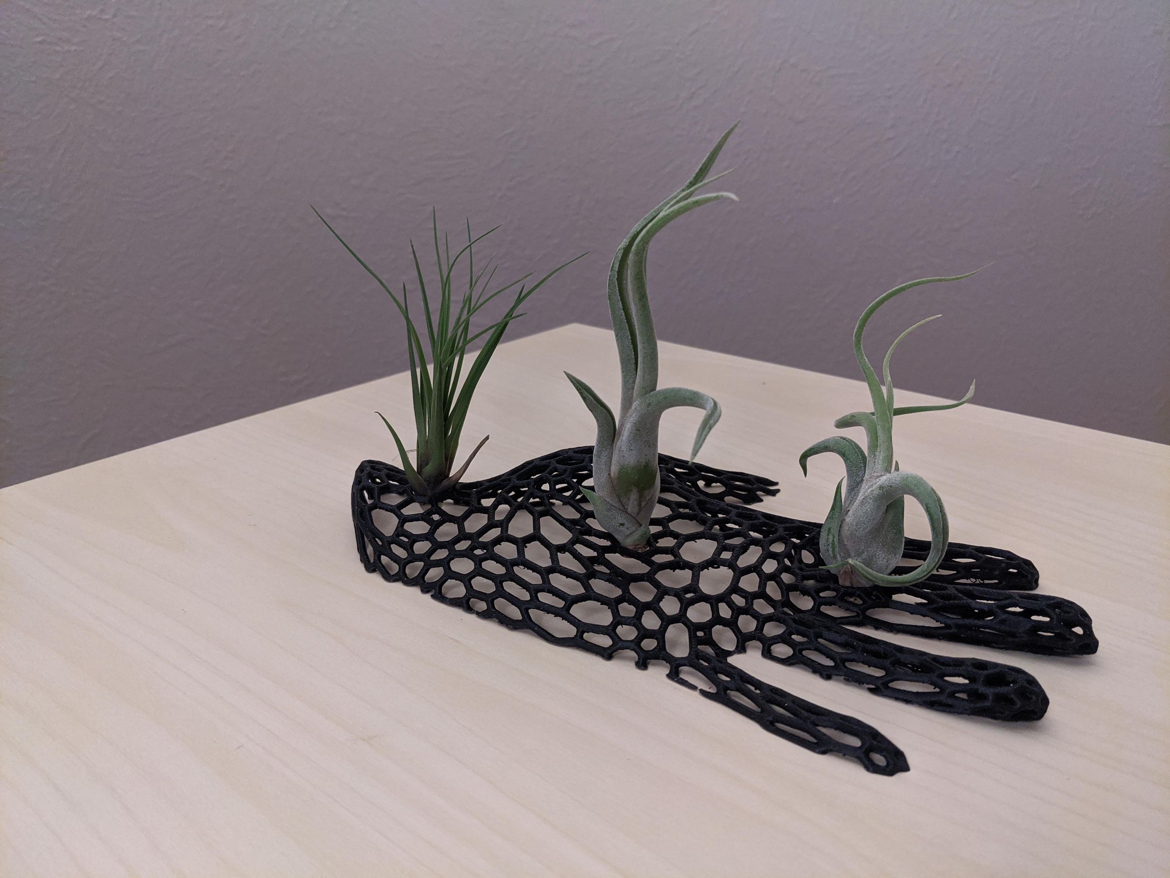 Scan and 3D Print Your Own Useful Tessellated Objects (CADfree!) 4